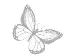 :white_butterfly: