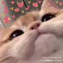 kittylove_void