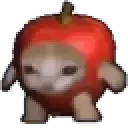applecatspin
