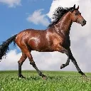Frolic