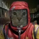 cat_hazmat