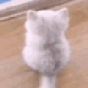 cattail