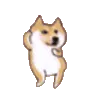 doggo_dancingdoge_2