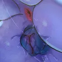 d7f937ef758c74e25d88a55be2b3a4ca