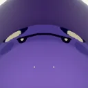 o__o o__o