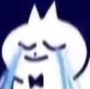catcry catcry