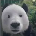 emoji_6 emoji_6