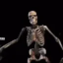SkeletonShield
