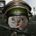 ble