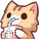 CatSip CatSip