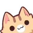 CatPeek