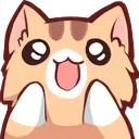CatExcited