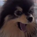 yeontan