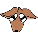 kangaroo