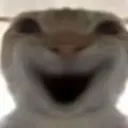 soHAPPY soHAPPY