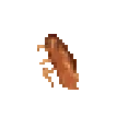 spinning_cockroach