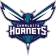 hornets