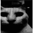 imyold7