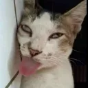 emoji_13