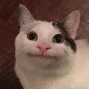 emoji_23 emoji_23