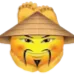 vietfeet