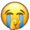 :sonnn: