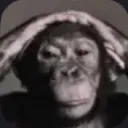 monke