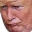 3158kektrump