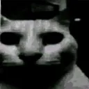 cathorror