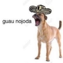 nojoda Discord emoji