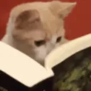 catReading
