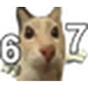 67 67
