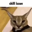 74894skillissue