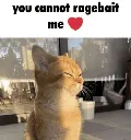 875720ragebait