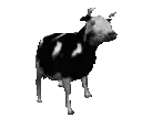 x_Dancing_cow_animated