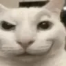 SmirkingCat SmirkingCat