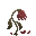 Aetheryx_Flower