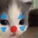 visixnn_joker