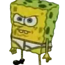wtfsponge