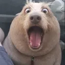 phobossurprise