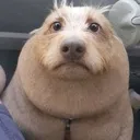 phobossad