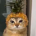 EVILpineapple