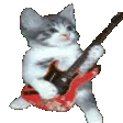 <a:CatGuitar:1461024592645587008>
