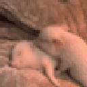 :pig: