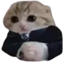 baseg