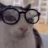 cat_lasseslook