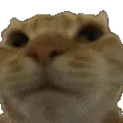 Nono