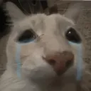 Tonoto_Sad Tonoto_Sad