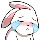 luvBunCrying