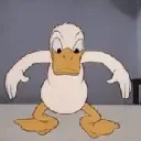 ayhayy